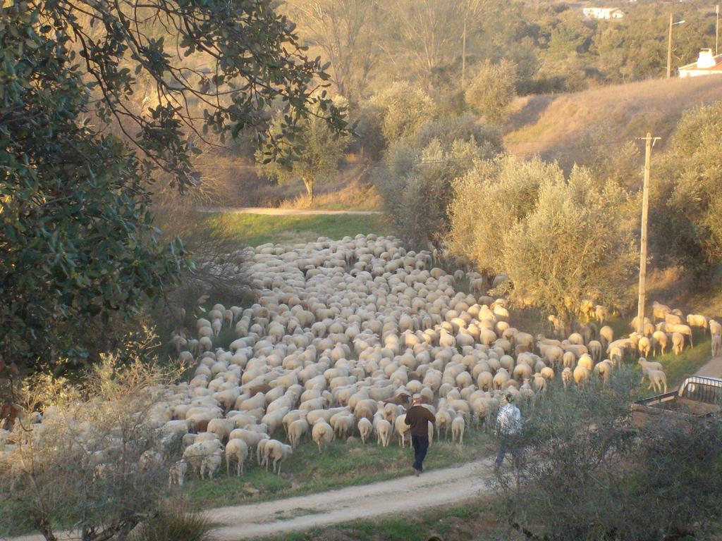 Monte Da Courela Ξενοδοχείο Malarranha Εξωτερικό φωτογραφία